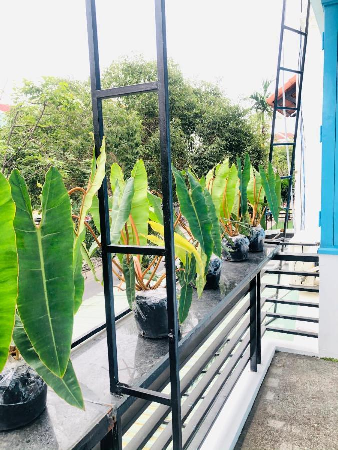 An'S Family Homestay Hoi An - 5Mins Walk To Hoi An Ancient Town Exteriér fotografie